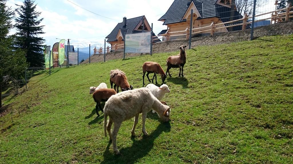 Willa Skorusyna Acomodação com café da manhã Gliczarów Exterior foto